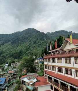 WhatsApp Image 2025-07-03 at 9.52.25 AM